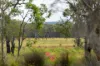 9144 Pacific Highway, Bulahdelah, NSW 2423-Image
