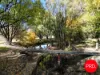 92 Merino Vale Drive, Wamboin, NSW 2620-Image