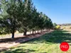 92 Merino Vale Drive, Wamboin, NSW 2620-Image