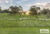 927 Racecourse Road, Langi Kal Kal, Vic 3352-Image