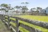 928 Nora Creina Road, Robe, SA 5276-Image