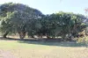 92836 Bruce Highway, Balberra, Qld 4740-Image