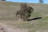 93 Harrogate Road, Brukunga, SA 5252-Image