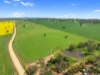 93 Mahood Road, Wirrabara, SA 5481-Image