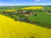 93 Mahood Road, Wirrabara, SA 5481-Image