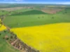 93 Mahood Road, Wirrabara, SA 5481-Image