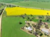 93 Mahood Road, Wirrabara, SA 5481-Image