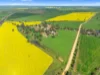 93 Mahood Road, Wirrabara, SA 5481-Image