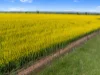 93 Mahood Road, Wirrabara, SA 5481-Image