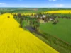 93 Mahood Road, Wirrabara, SA 5481-Image