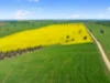 93 Mahood Road, Wirrabara, SA 5481-Image