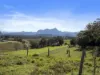 948 Doon Doon Road, Doon Doon, NSW 2484-Image