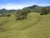 948 Doon Doon Road, Doon Doon, NSW 2484-Image