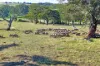 95 Fairfield Road, Penwortham, SA 5453-Image