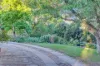 95 Fairfield Road, Penwortham, SA 5453-Image