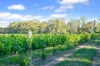 95 Fairfield Road, Penwortham, SA 5453-Image