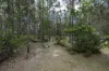 95 Sunnyside Road, Pillar Valley, NSW 2462-Image