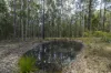 95 Sunnyside Road, Pillar Valley, NSW 2462-Image