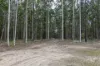 95 Sunnyside Road, Pillar Valley, NSW 2462-Image