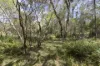 95 Sunnyside Road, Pillar Valley, NSW 2462-Image