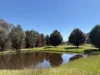 950 Yarck Rd, Yarck, Vic 3719