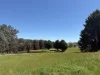 950 Yarck Rd, Yarck, Vic 3719-Image