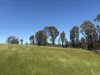 950 Yarck Rd, Yarck, Vic 3719-Image