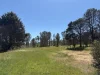 950 Yarck Rd, Yarck, Vic 3719-Image