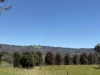 950 Yarck Rd, Yarck, Vic 3719-Image