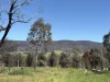 950 Yarck Rd, Yarck, Vic 3719-Image