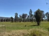 950 Yarck Rd, Yarck, Vic 3719-Image
