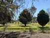950 Yarck Rd, Yarck, Vic 3719-Image