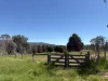 950 Yarck Rd, Yarck, Vic 3719-Image