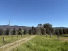 950 Yarck Rd, Yarck, Vic 3719-Image
