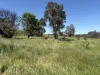 950 Yarck Rd, Yarck, Vic 3719-Image