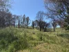 950 Yarck Rd, Yarck, Vic 3719-Image