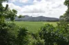 962 Abergowrie Road, Trebonne, Qld 4850-Image