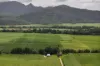 962 Abergowrie Road, Trebonne, Qld 4850-Image