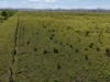 97 Naughtons Gap Road, North Casino NSW 2470-Image