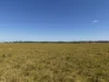 97 Naughtons Gap Road, North Casino NSW 2470-Image