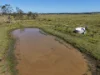 97 Naughtons Gap Road, North Casino NSW 2470-Image