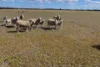 976 Malyalling Road, Malyalling, WA 6370-Image