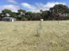 98 Playford Highway, Kingscote, SA 5223-Image