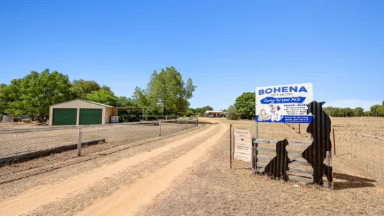 9834 Newell Highway, Jacks Creek, NSW 2390