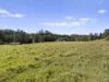 984 reserve creek road, Reserve Creek, NSW 2484-Image