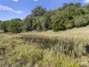 984 reserve creek road, Reserve Creek, NSW 2484-Image
