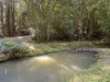 984 reserve creek road, Reserve Creek, NSW 2484-Image