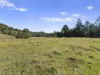 984 reserve creek road, Reserve Creek, NSW 2484-Image