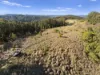 984 reserve creek road, Reserve Creek, NSW 2484-Image