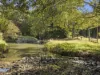 984 reserve creek road, Reserve Creek, NSW 2484-Image